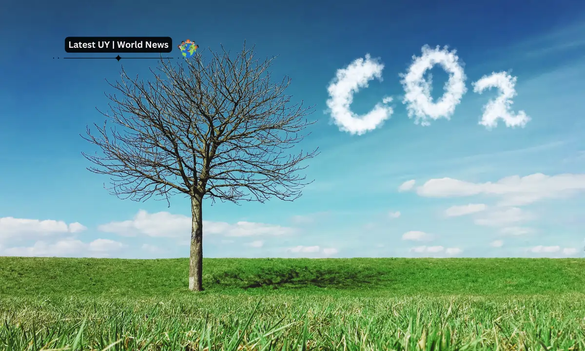 Ozone pollution