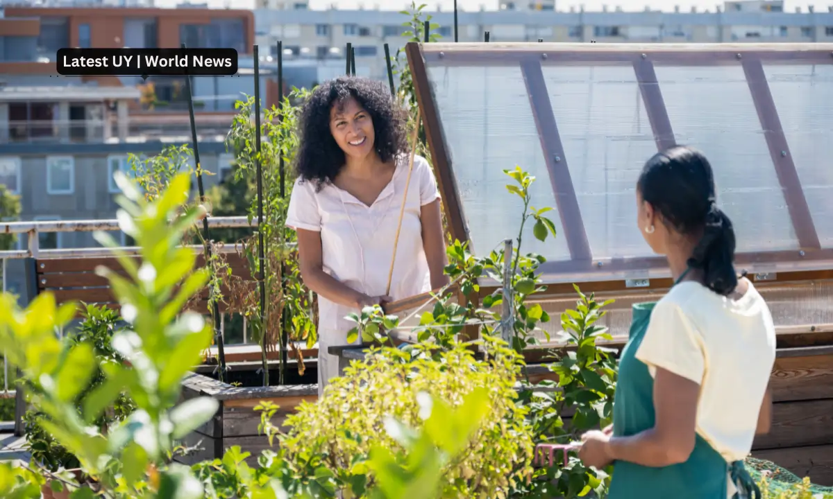 Revolutionizing Urban Farming How Technology is Changing City Agriculture