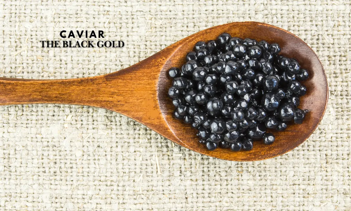 Caviar