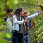 Forest Schools