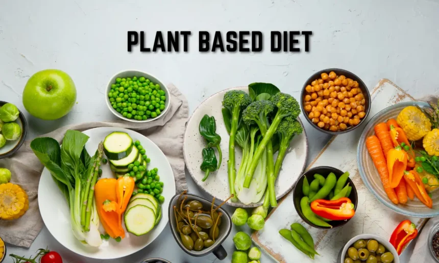 Plant-Based Diet