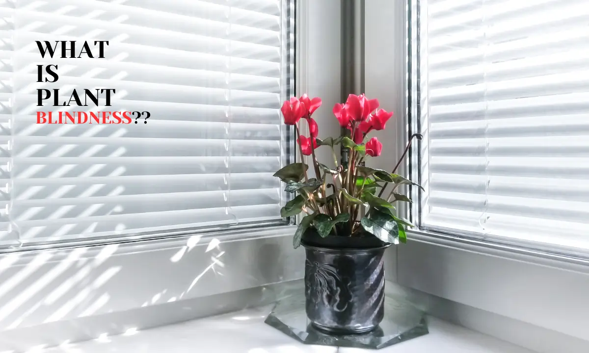 Plant Blindness