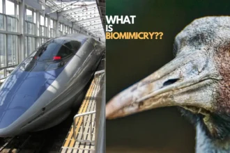 Biomimicry