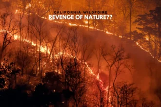 California Wildfire