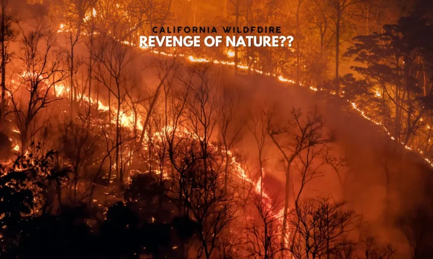 California Wildfire