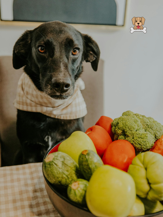 Try These 8 Homemade Dog Treats