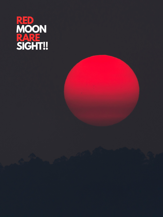 Holi 2025: A Blood Moon Spectacle