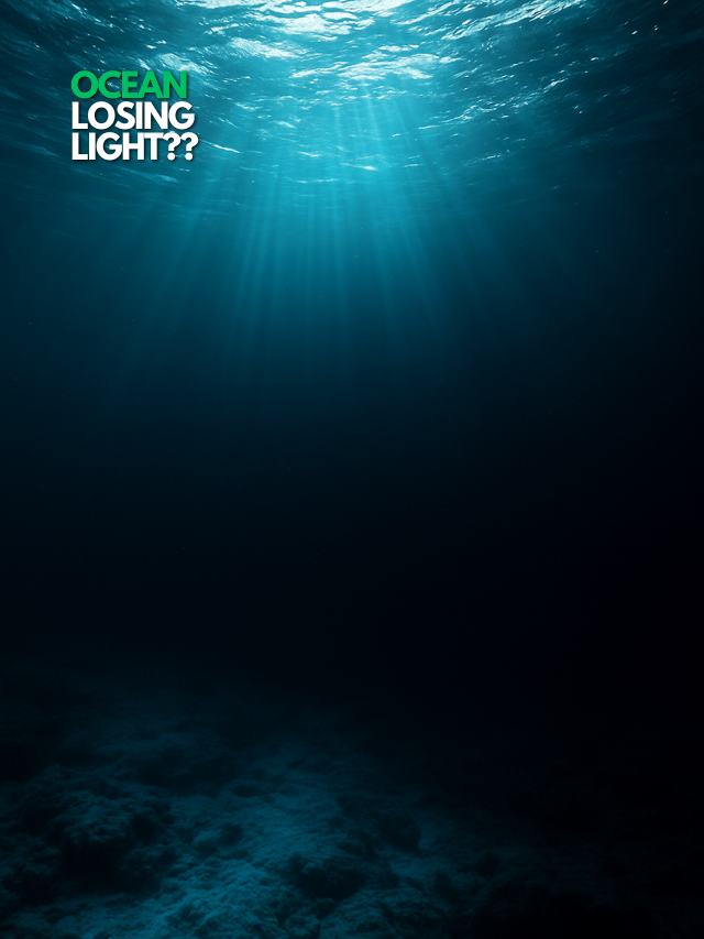 Global Ocean Darkening Shrinks Photic Zones