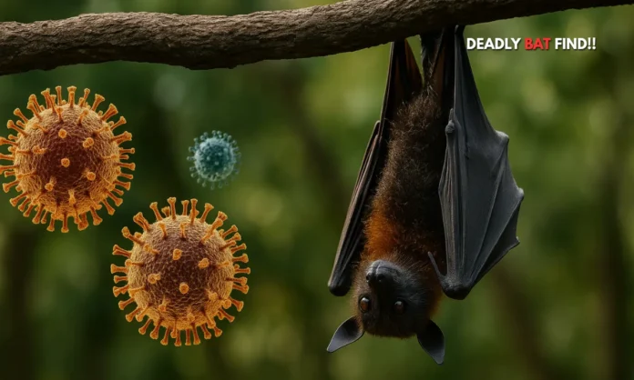 China’s Viral Wildcard 20 Unknown Bat Viruses Uncovered in Yunnan Spark Global Alarm
