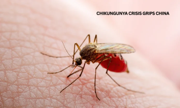 Chikungunya Outbreak Escalates in China Over 10,000 Cases Force Strict Containment Measures
