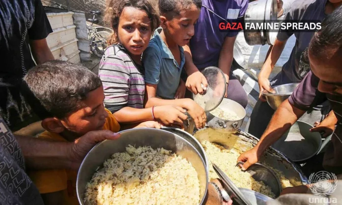 Gaza Famine Crisis Deepens as UN Confirms Man-Made Catastrophe Affecting Over 500,000 People