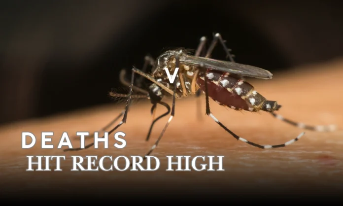 Bangladesh Dengue Deaths Surge as Healthcare Crisis Deepens Nationwide